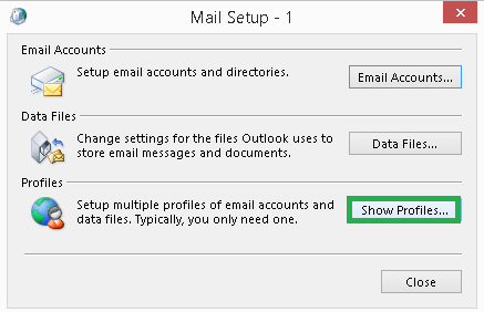 On the Mail Setup, click on Show Profiles option