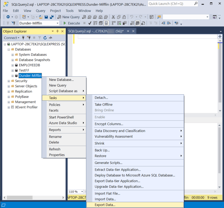 How User Can Export SQL Database file to Excel Sheet?